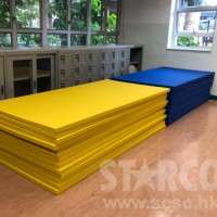 STARCO RUMAT230 柔道墊, 符合IJF標準, 技擊運動地墊